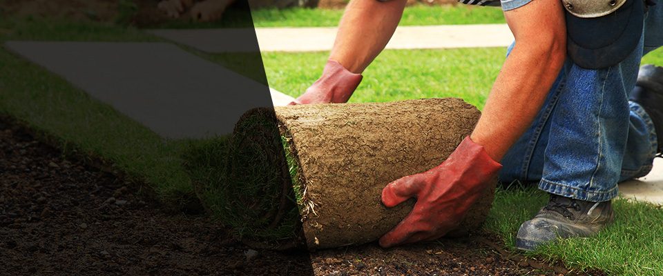 Glen Echo Landscapers